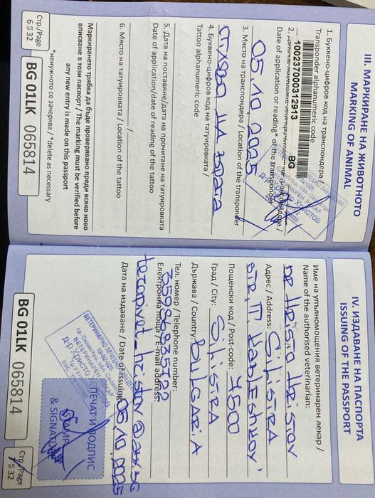 кученце,австралийска овчарка,мъжкар,на 4 месеца, ваксини,паспорт и чип