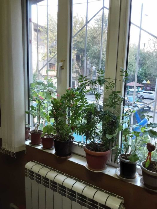 Продаётся 3х комнатная квартира