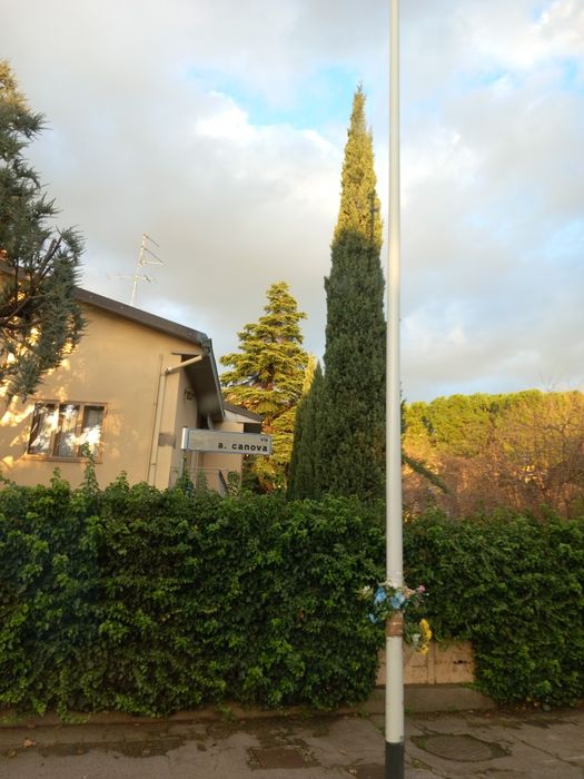 Cipressi toscani