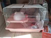 Cusca hamster cu etaj