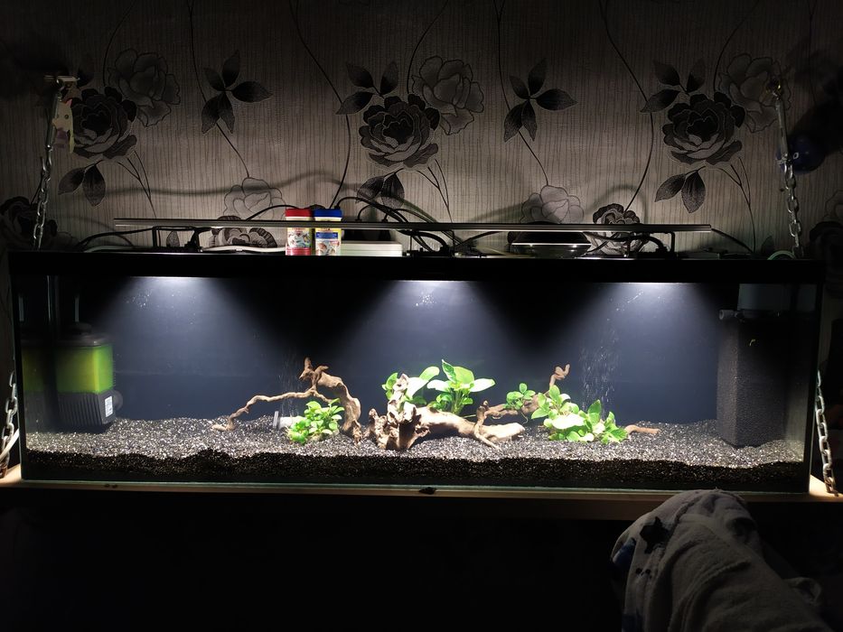 Аквариум панорамный