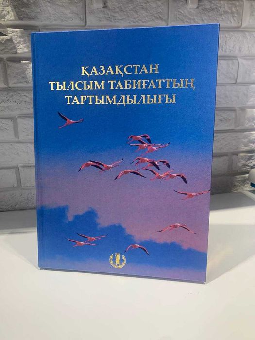 Иллюстрированная Книга - "Қазақстан Тылсым Табиғаттың Тартымдылығы"