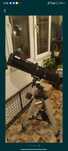 Telescop Omegon 130/920 EQ2