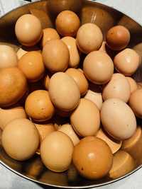 Oua de casă - 1,5 lei/ buc.