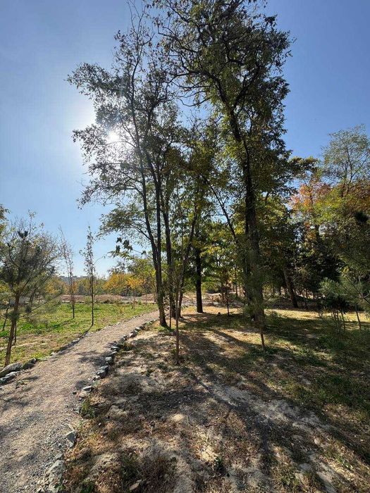 ~Офис с участком на Астрономии в Мирзо-Улугбекском районе!