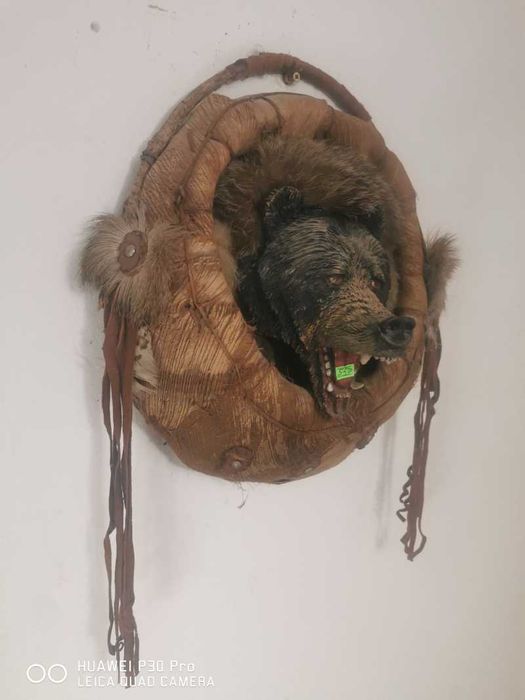 Tabloui cap de urs cu tenta indiana