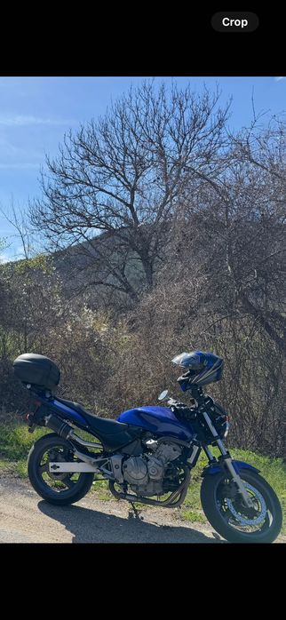 Honda Hornet 600