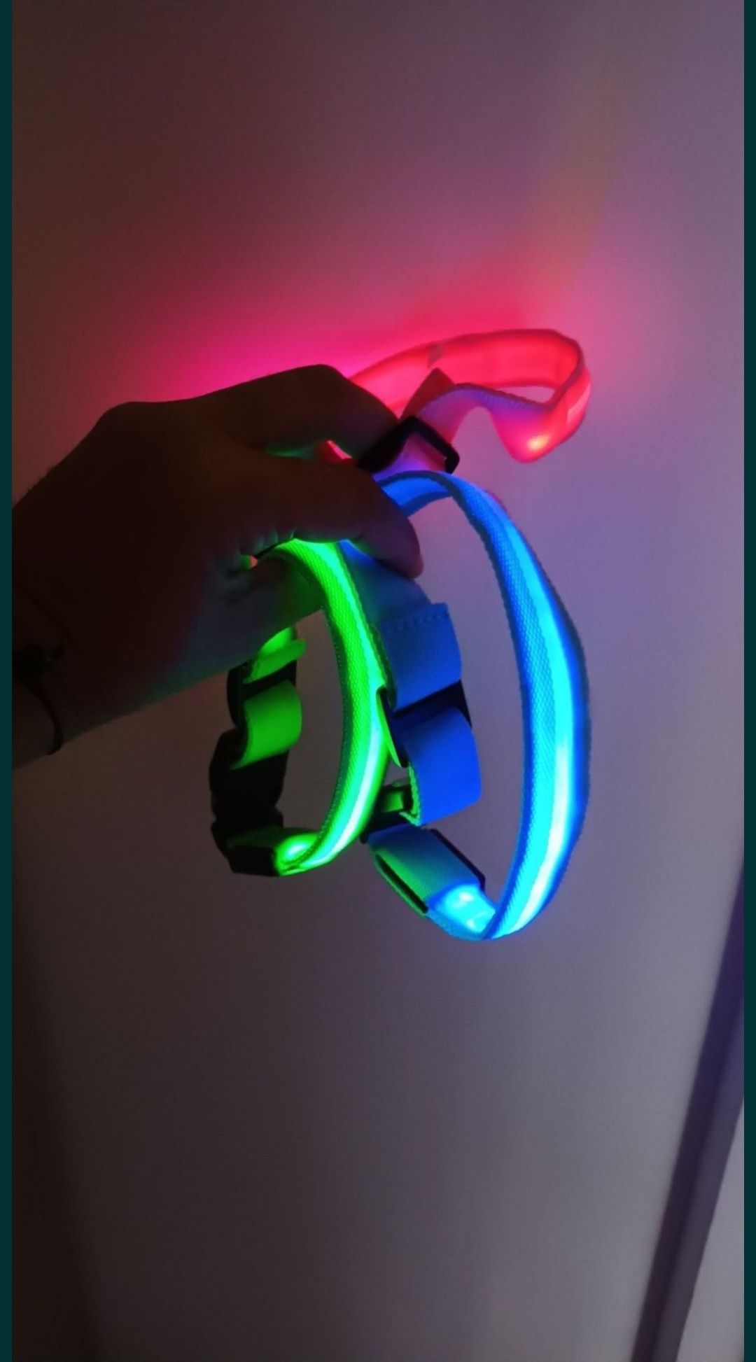 zgarda pentru câini luminoasa