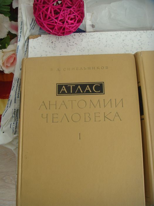 Атласи по анатомия на човека Синелников в 3 тома, Атлас цветен