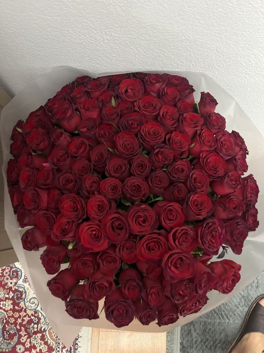 Роза 101 свежие,