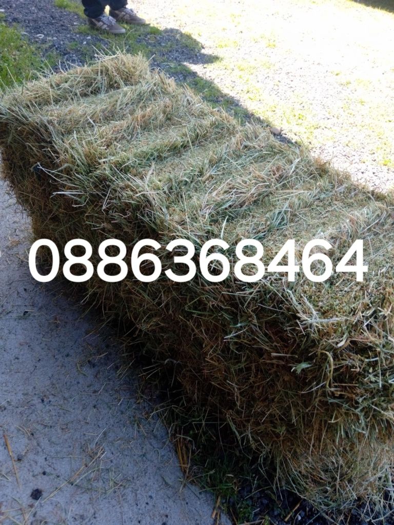 Продава бали сено и люцерна
Намират се в село Кабиле, обл.Ямбол