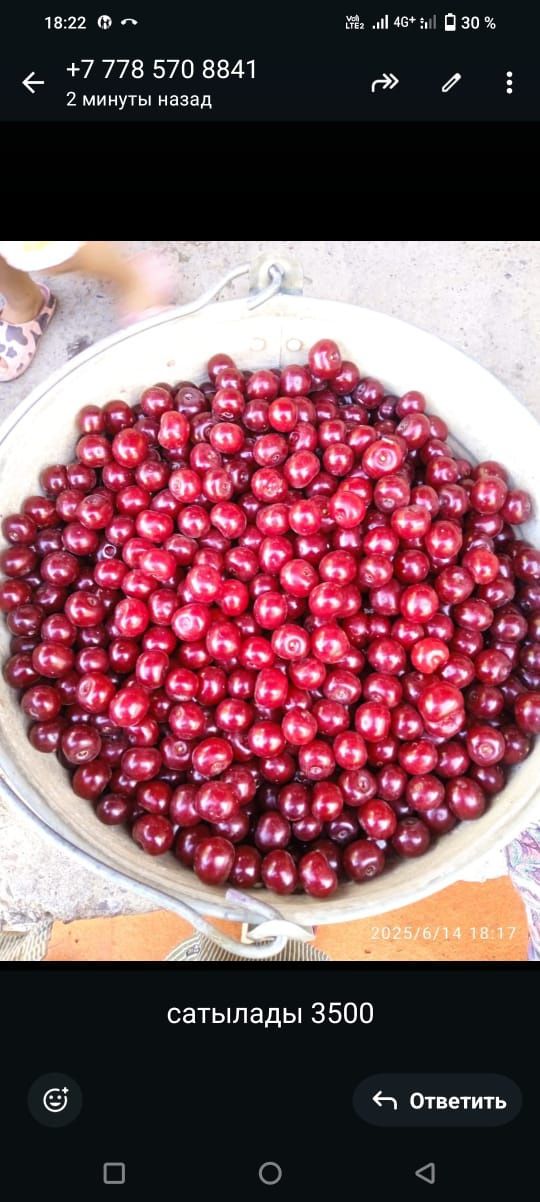 Вишня сатылады шие