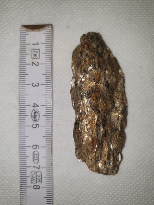 Flori de mină     .