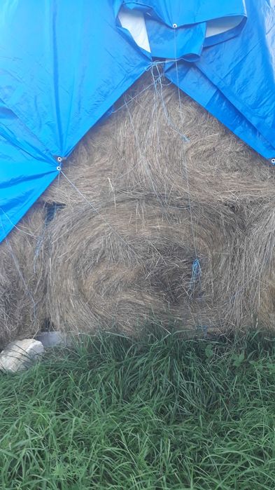 Vând baloţi de fân