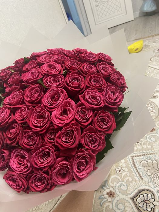 продам розы 51 штук свежий