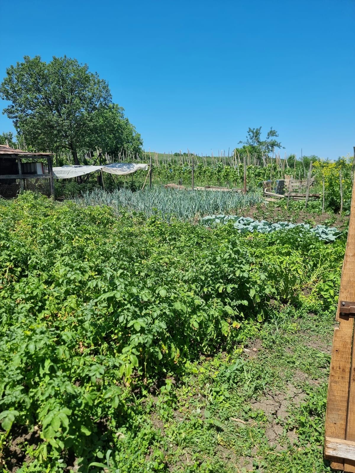 Casă de vânzare preț 73000€ ușor negociabil