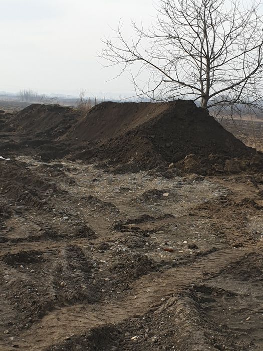 Pamant negru vegetal