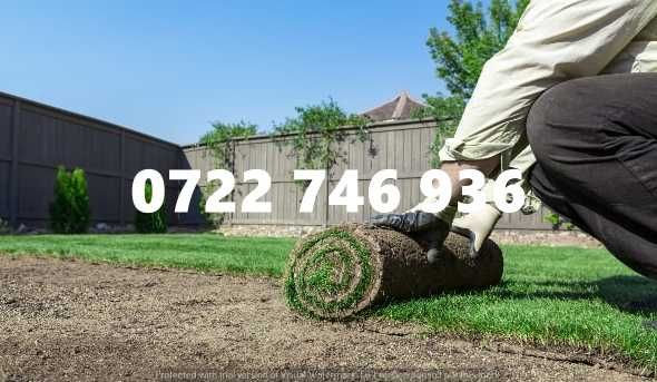 Spațiu verde instant – Montaj rapid cu gazon rulou!