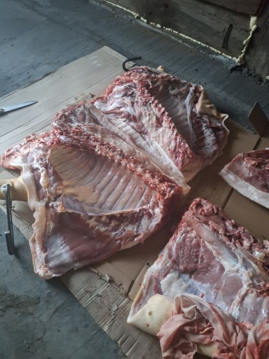 Продам мясо свенина