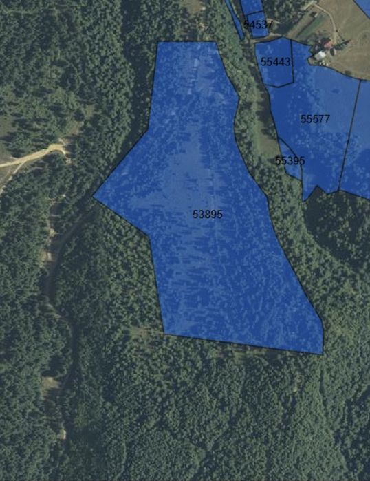 Teren calatele padure (cluj)