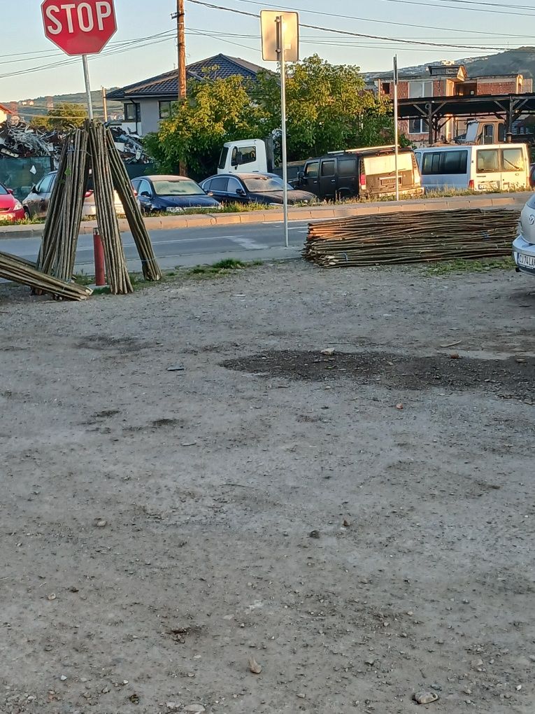 Vând pari de roșii și de fasole și de gard eletric preț fix 2 lei