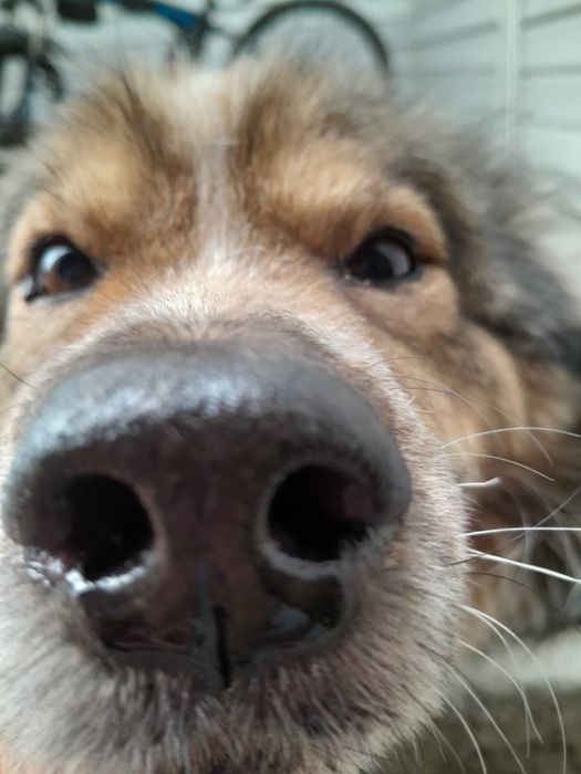 Малышу нужен дом