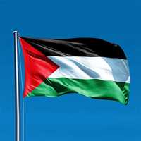Флаг Палестины 90*150см