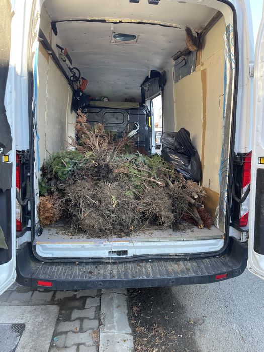 Transport marfa  ‼️NON STOP‼️