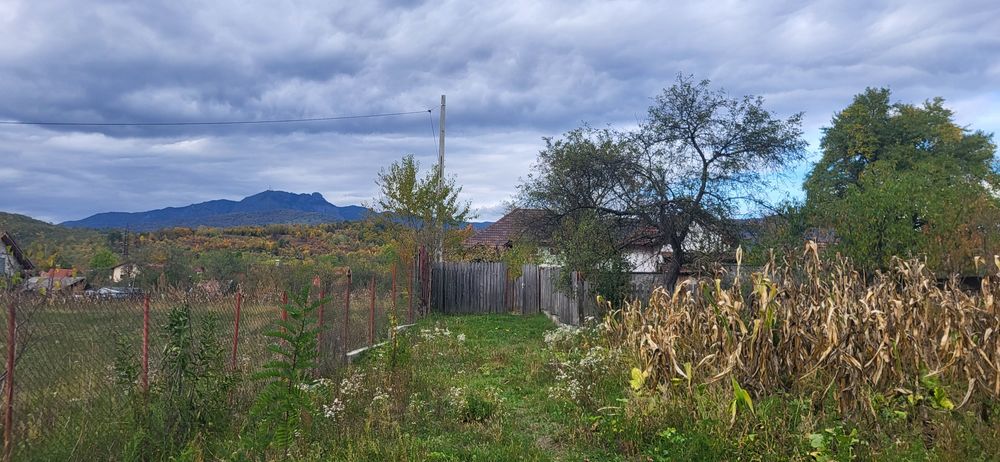 Vând casa de vacanță