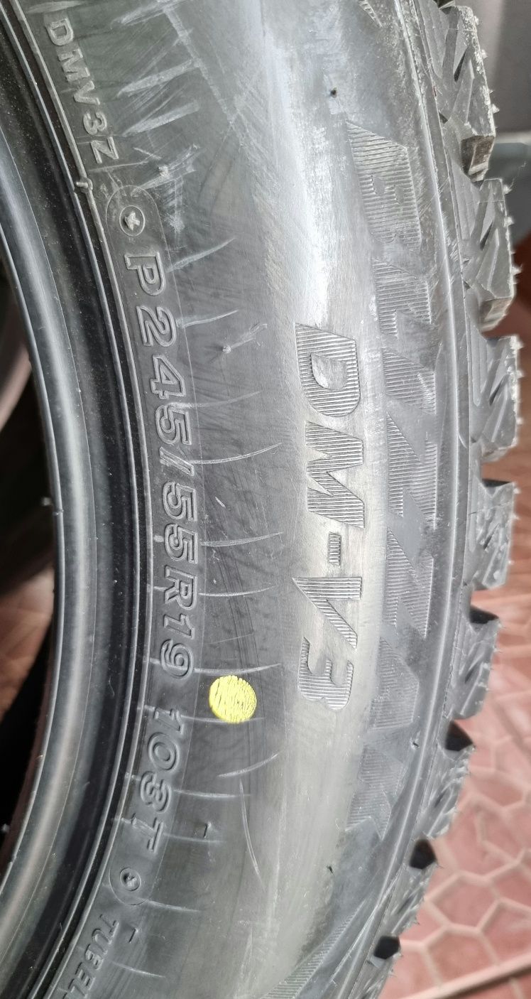 Bridgestone Blizzak DM-V3