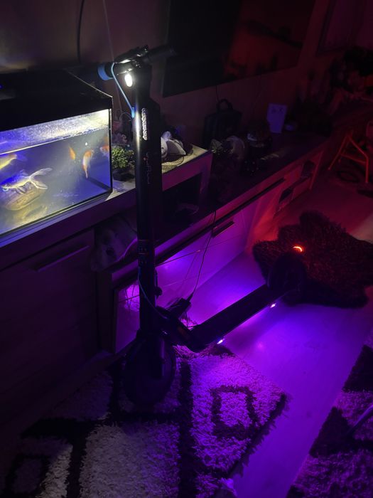 Vand trotinetă electrica myria