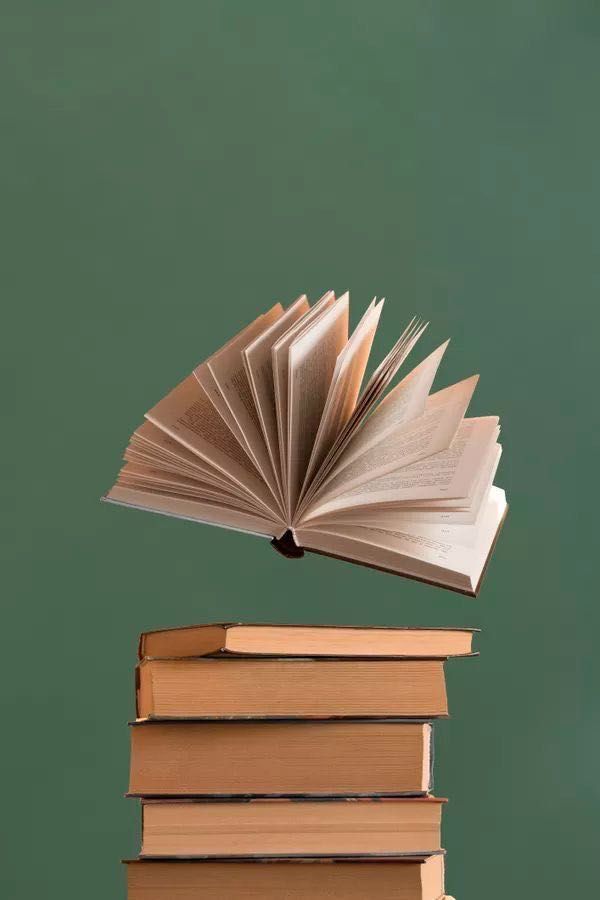 Ofer meditații la limba și literatura română