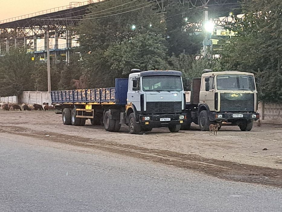 Прицеп маз 13.60
