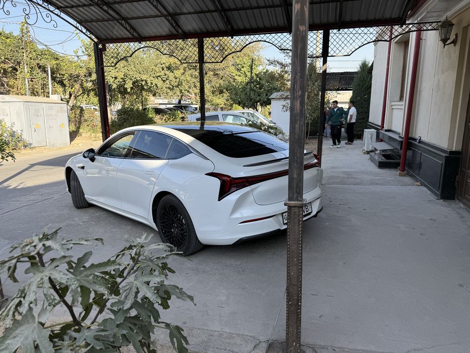 Neta S 520 Ev tuliq elektrlik versiyasi