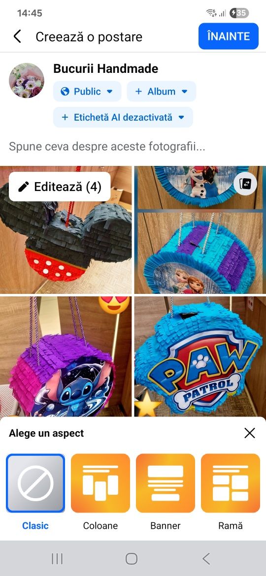 Pinnata si aranjamente personalizate