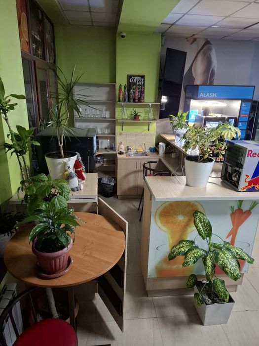 Сдаётся бар в аренду