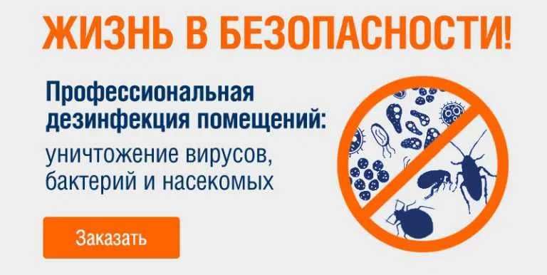 ЭКОНОМИЯ–20%! Уничтожение насекомых выгодно и индивидуально с Asyl Dez