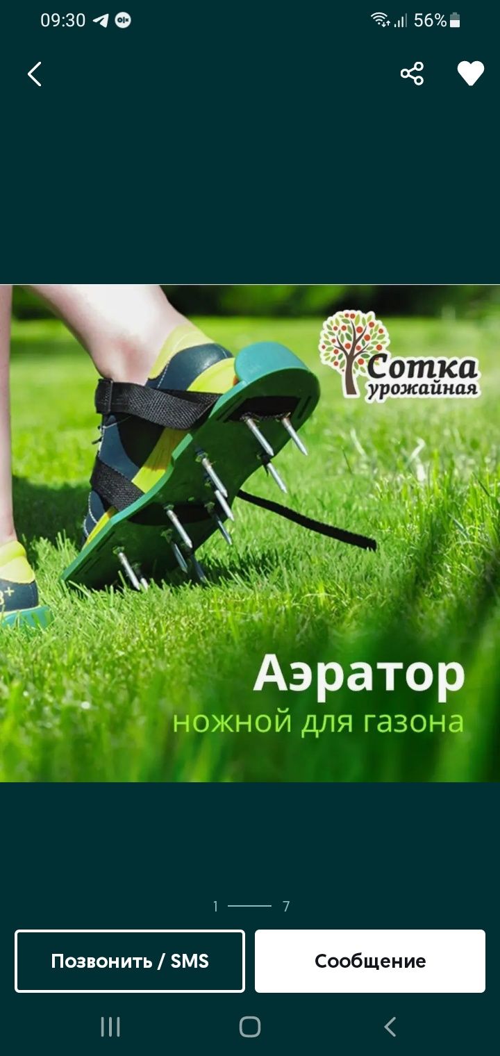 Богбон ва богбон хизмати