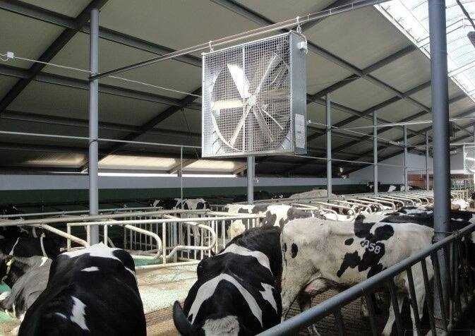 Ventilyator (havo sovitgich)