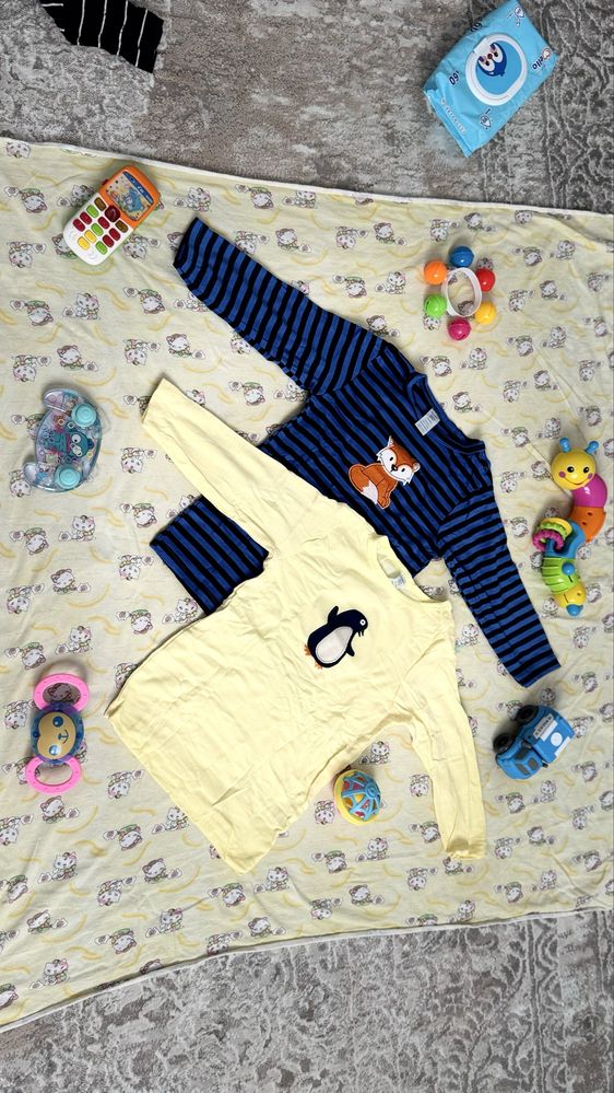 Carters киемдери