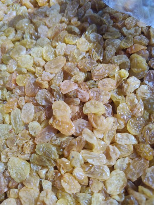 Стафида Тъмна/Златна - 5 кг кашони