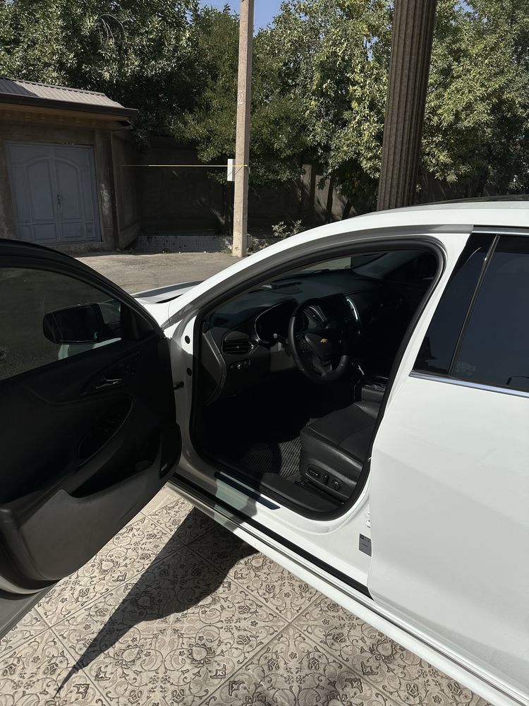 Malibu 2 2022 primer