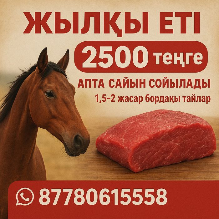 Соғым жылқы еті. Конина мясо.