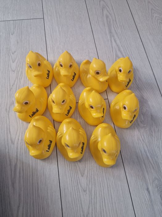 Broscute de apa toate la 30 lei
