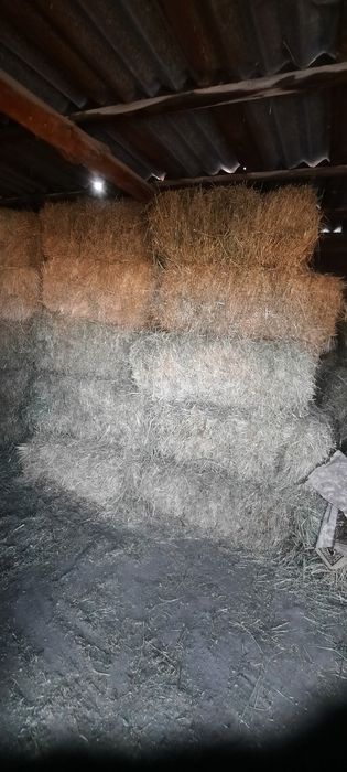 Продам  сено  где-то 40 50 тюков