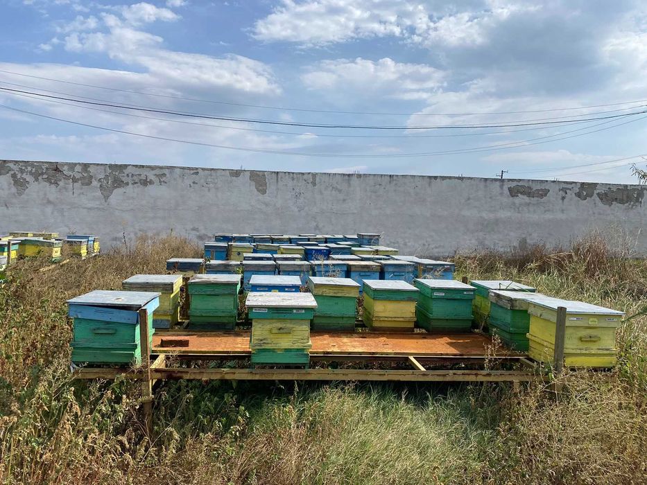 Пчеларски платформи за подвижно пчеларство