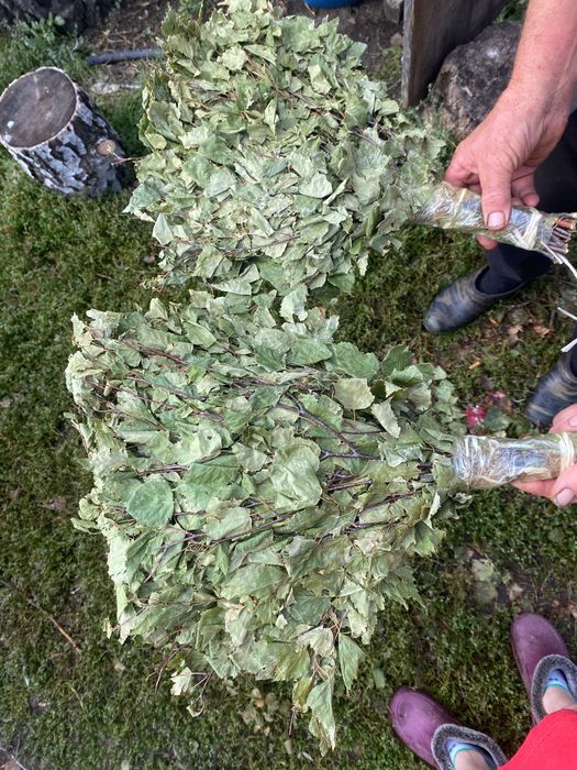 Продам берёзовые веники