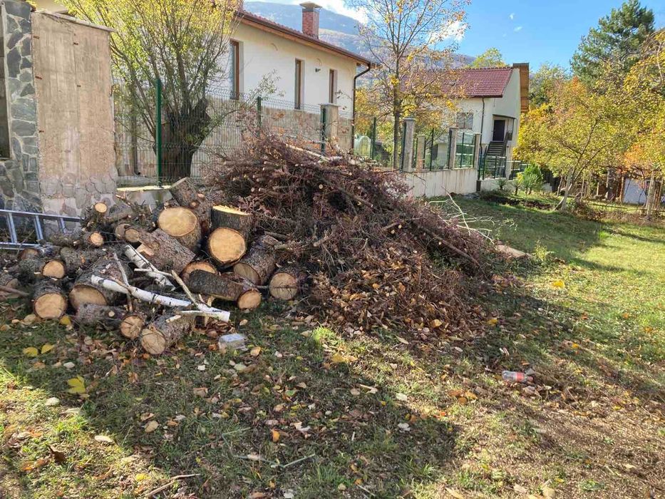 Подарявам дърва за огрев - сух материал