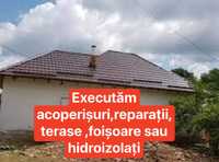 Acoperisuri,reparati,dulgheri,vopsit acoperisuri sau hidroizolati