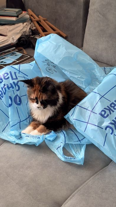 Пакет с пакетами из Яндекс Лавки